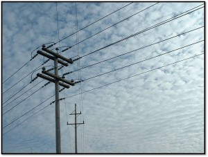 electric shock lawsuit