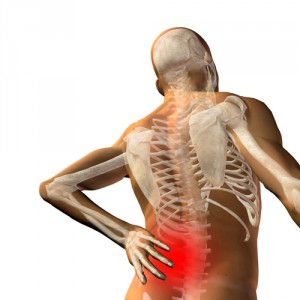florida disc injury cases