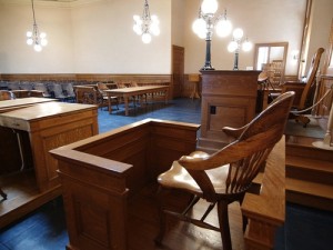 expert witness lawsuits