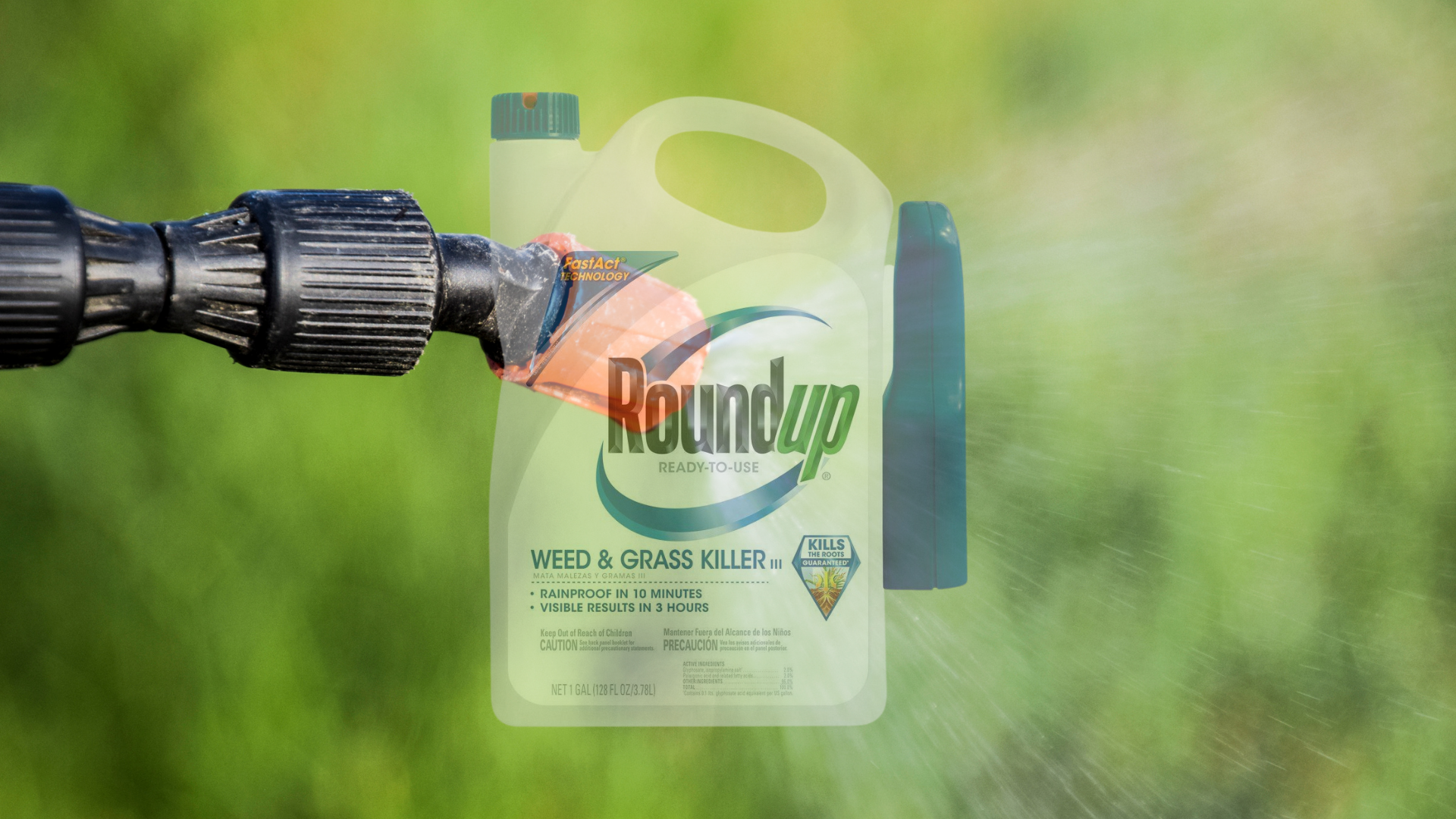 Roundup Weed Killer Settlement Scam Targets Gmail Inboxes