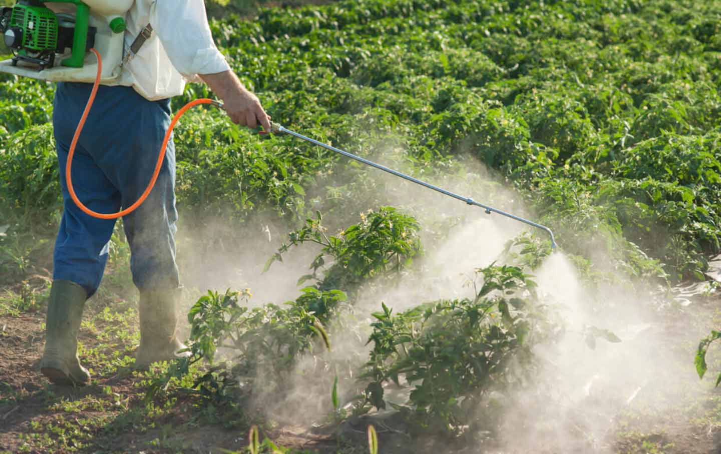 pesticide-spraying-california-otu-img